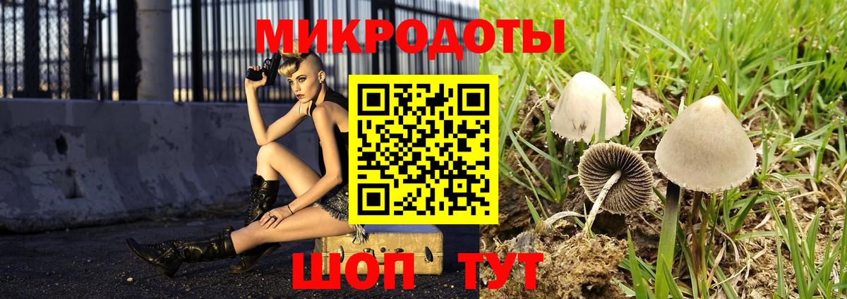 Псилоцибиновые грибы ЛСД  Псилоцибиновые грибы Cubensis  Вход с VPN  цена   Арзамас 