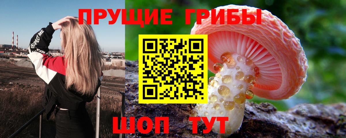 Псилоцибиновые грибы ЛСД Арзамас